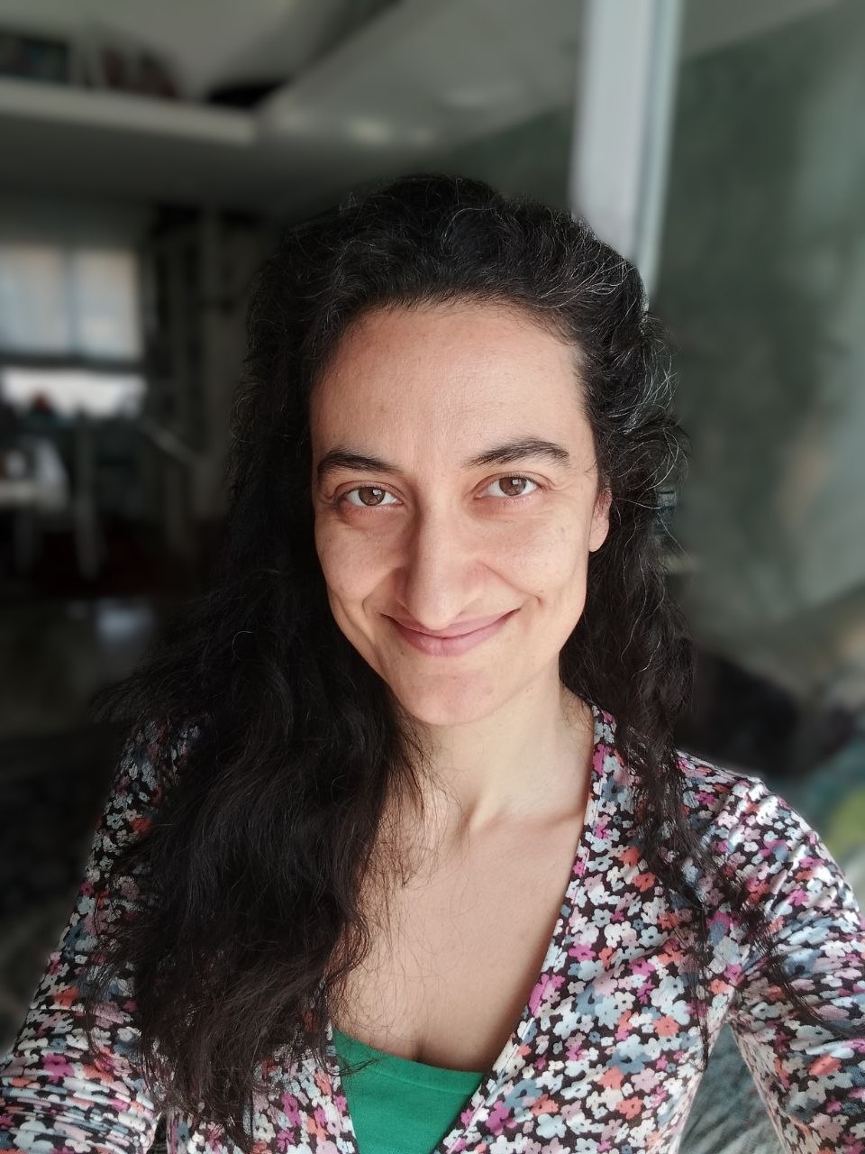 Dena Arabsolgar